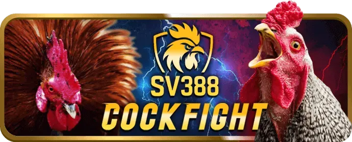 Hướng dẫn soi kèo nhà cái tại bong888