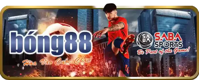 Luật chơi đá gà và cách đọc kèo tại bong888